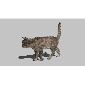 Cat - Rigged, Animated 3D
